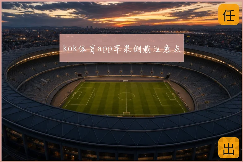 kok体育app苹果侧载注意点